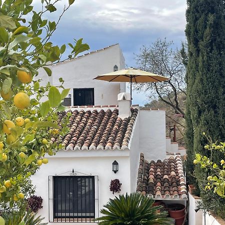 Casa Del Limon Daire Canillas de Aceituno Dış mekan fotoğraf