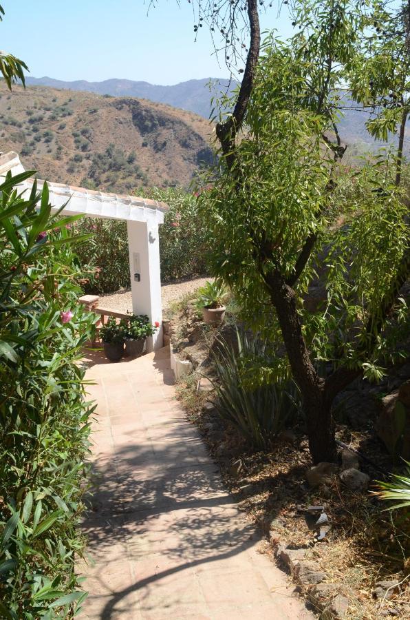 Casa Del Limon Daire Canillas de Aceituno Dış mekan fotoğraf