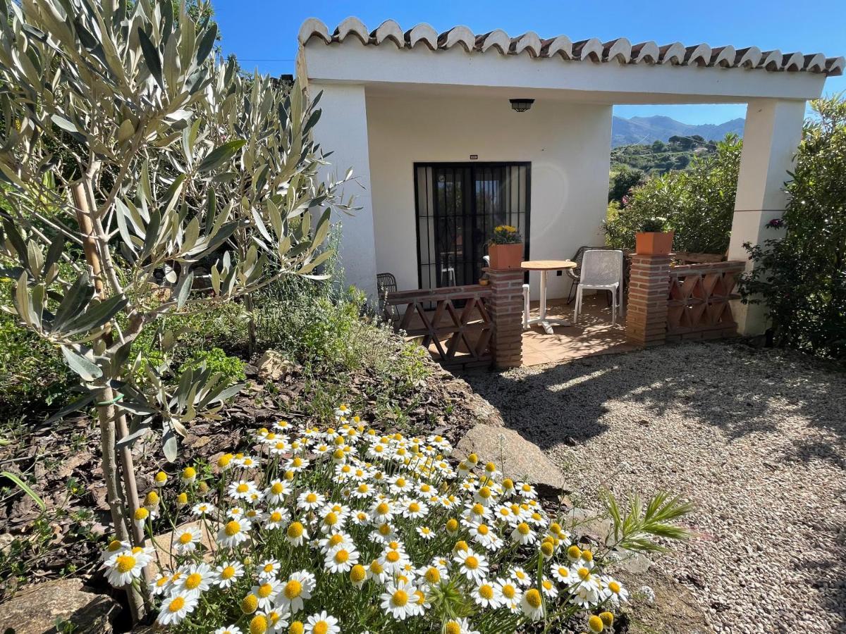 Casa Del Limon Daire Canillas de Aceituno Dış mekan fotoğraf