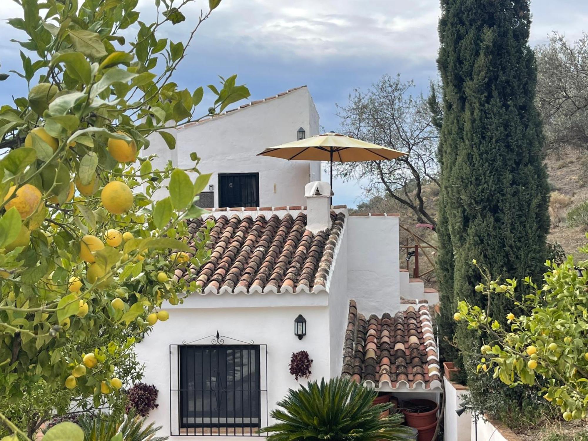 Casa Del Limon Daire Canillas de Aceituno Dış mekan fotoğraf